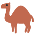 camel