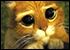:catpls: :catpls:
