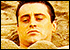 :joey: :joey:
