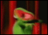 :kermit: :kermit: