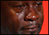 :jordan2: :jordan2: