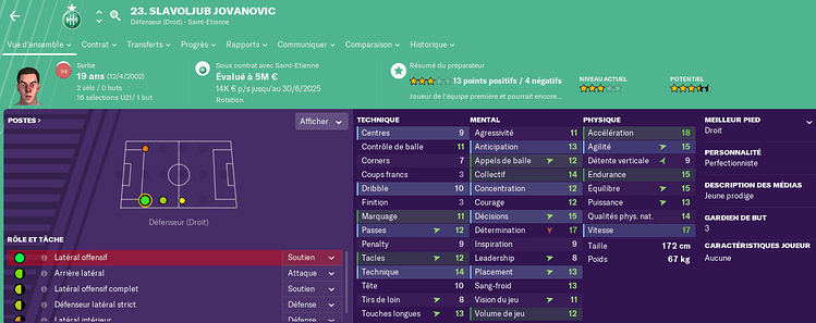Slavoljub%20Jovanovic_%20Vue%20d'ensemble%20Profil