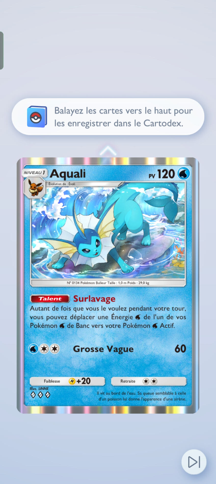 Screenshot_2024-12-17-19-55-23-80_f8da0d17f671966b9c609eafd0d5a812