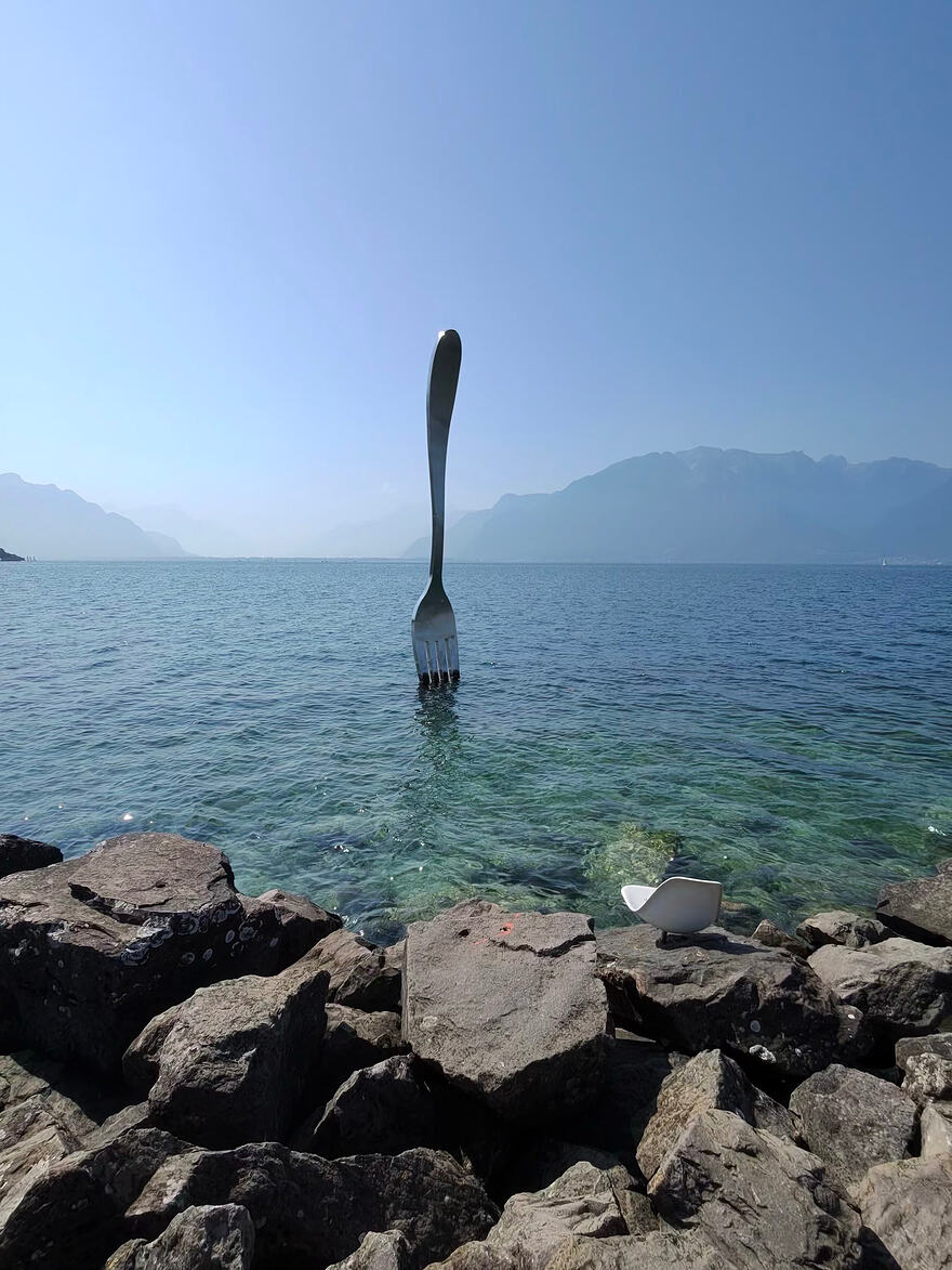 photo-3147_singular_display_fullPicture