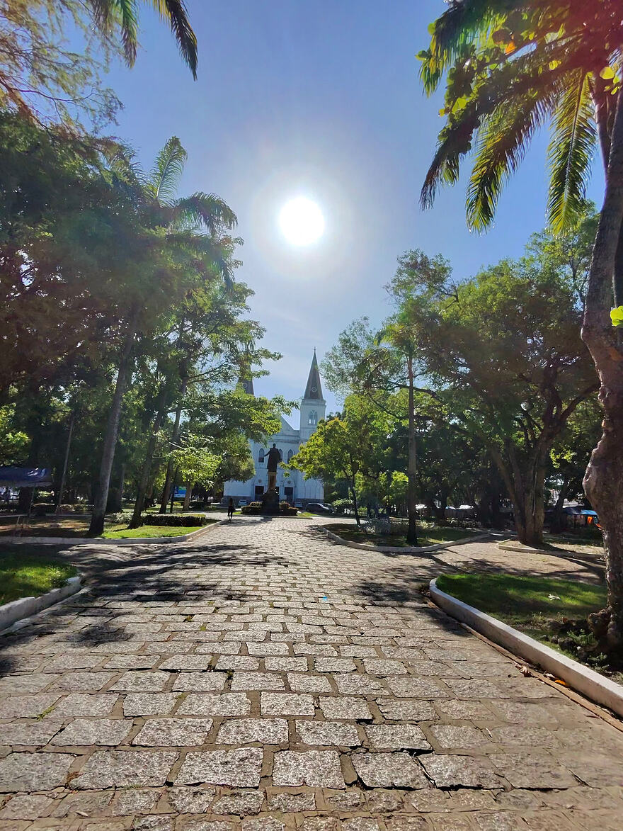 photo-3752_singular_display_fullPicture