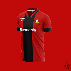 TestLeverkusen copie