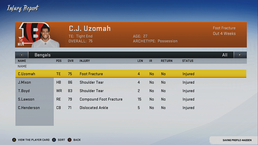 Capture dâĂ©cran (8)