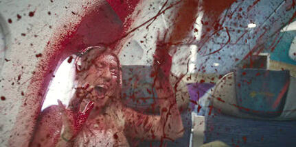 sans champi, c'est moins coloré