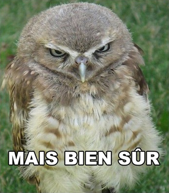 Mais-bien-sur
